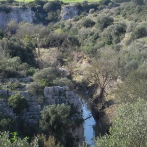 sei-su-immagine-raffigurante-un-tratto-della-verdeggiante-gravina-di-picciano