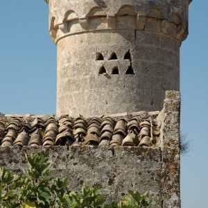 sei-su-immagine-raffigurante-la-torre-della-masseria-fortificata-selva-venusio